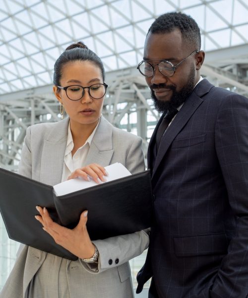 Young businesswoman showing financial papers or contract to African colleague